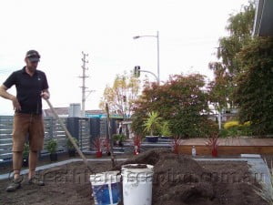 planting Heath Landscaping Tasmania - Transform Your Outdoor Space Today