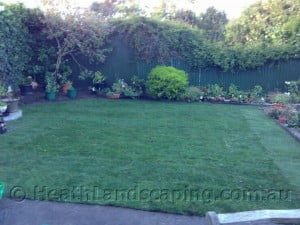 Instant turf by Heath Landscaping Tasmania - Transform Your Outdoor Space Today