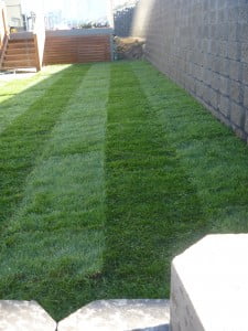Heath Landscaping Tasmania - Transform Your Outdoor Space Today instant turf